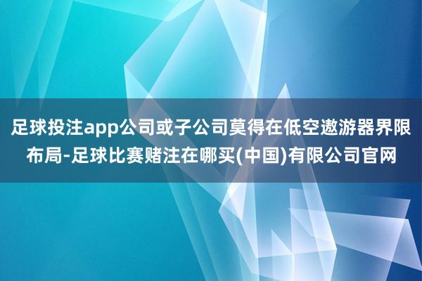 足球投注app公司或子公司莫得在低空遨游器界限布局-足球比赛赌注在哪买(中国)有限公司官网