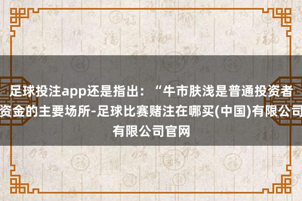 足球投注app还是指出：“牛市肤浅是普通投资者损失资金的主要场所-足球比赛赌注在哪买(中国)有限公司官网