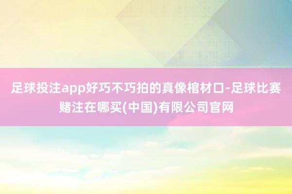 足球投注app好巧不巧拍的真像棺材口-足球比赛赌注在哪买(中国)有限公司官网