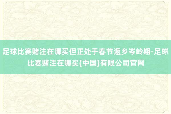 足球比赛赌注在哪买但正处于春节返乡岑岭期-足球比赛赌注在哪买(中国)有限公司官网
