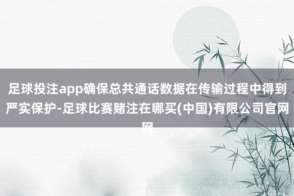 足球投注app确保总共通话数据在传输过程中得到严实保护-足球比赛赌注在哪买(中国)有限公司官网