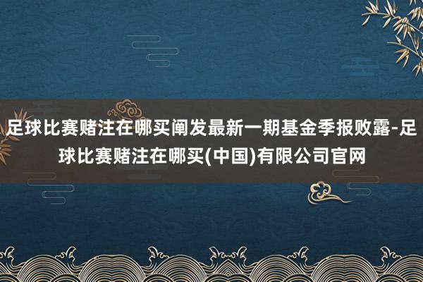 足球比赛赌注在哪买阐发最新一期基金季报败露-足球比赛赌注在哪买(中国)有限公司官网