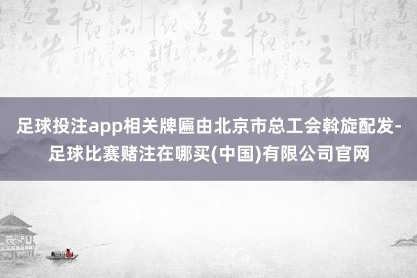 足球投注app相关牌匾由北京市总工会斡旋配发-足球比赛赌注在哪买(中国)有限公司官网