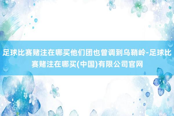 足球比赛赌注在哪买他们团也曾调到乌鞘岭-足球比赛赌注在哪买(中国)有限公司官网