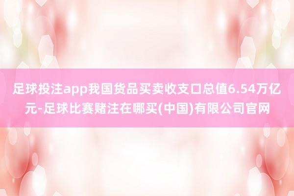足球投注app我国货品买卖收支口总值6.54万亿元-足球比赛赌注在哪买(中国)有限公司官网