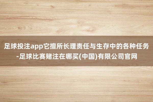 足球投注app它擅所长理责任与生存中的各种任务-足球比赛赌注在哪买(中国)有限公司官网