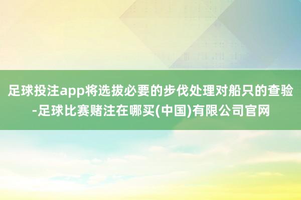 足球投注app将选拔必要的步伐处理对船只的查验-足球比赛赌注在哪买(中国)有限公司官网