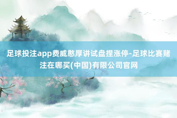 足球投注app费威憨厚讲试盘捏涨停-足球比赛赌注在哪买(中国)有限公司官网