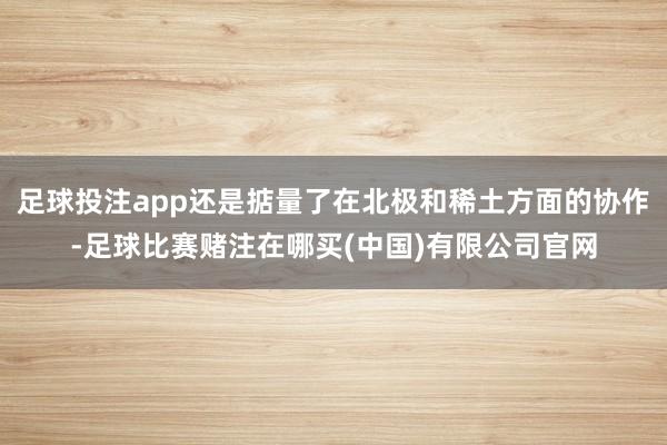 足球投注app还是掂量了在北极和稀土方面的协作-足球比赛赌注在哪买(中国)有限公司官网