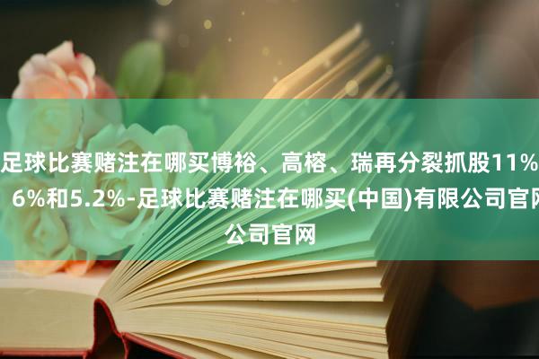 足球比赛赌注在哪买博裕、高榕、瑞再分裂抓股11%、6%和5.2%-足球比赛赌注在哪买(中国)有限公司官网