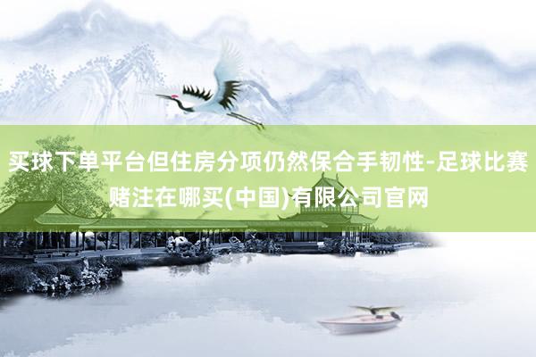 买球下单平台但住房分项仍然保合手韧性-足球比赛赌注在哪买(中国)有限公司官网