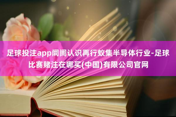 足球投注app阛阓认识再行蚁集半导体行业-足球比赛赌注在哪买(中国)有限公司官网