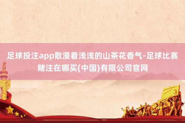 足球投注app散漫着浅浅的山茶花香气-足球比赛赌注在哪买(中国)有限公司官网