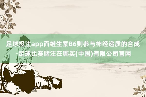 足球投注app而维生素B6则参与神经递质的合成-足球比赛赌注在哪买(中国)有限公司官网