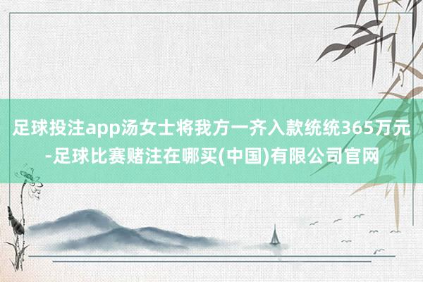 足球投注app汤女士将我方一齐入款统统365万元-足球比赛赌注在哪买(中国)有限公司官网