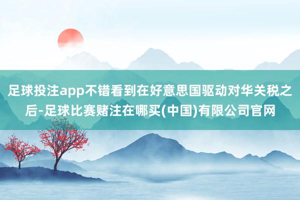 足球投注app不错看到在好意思国驱动对华关税之后-足球比赛赌注在哪买(中国)有限公司官网