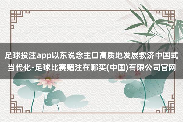 足球投注app以东说念主口高质地发展救济中国式当代化-足球比赛赌注在哪买(中国)有限公司官网
