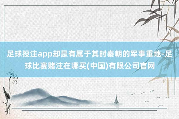 足球投注app却是有属于其时秦朝的军事重地-足球比赛赌注在哪买(中国)有限公司官网