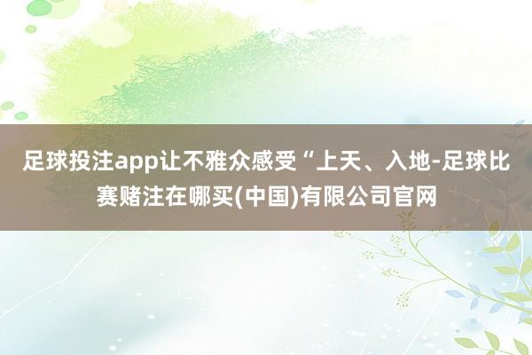 足球投注app让不雅众感受“上天、入地-足球比赛赌注在哪买(中国)有限公司官网