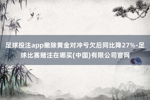 足球投注app撇除黄金对冲亏欠后同比降27%-足球比赛赌注在哪买(中国)有限公司官网