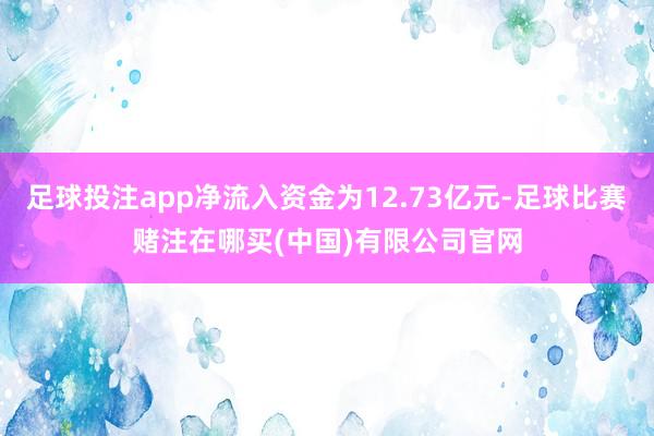 足球投注app净流入资金为12.73亿元-足球比赛赌注在哪买(中国)有限公司官网
