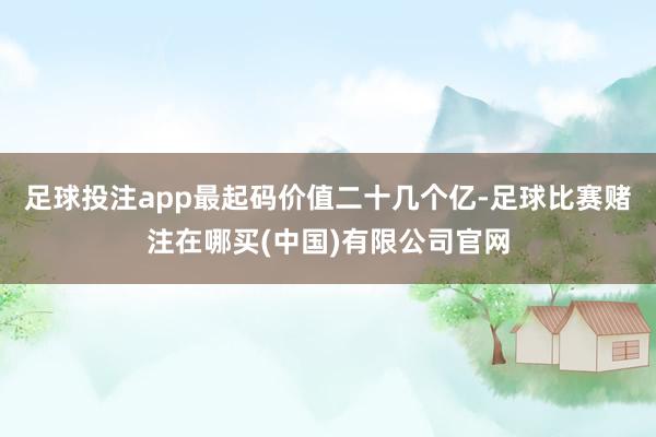 足球投注app最起码价值二十几个亿-足球比赛赌注在哪买(中国)有限公司官网
