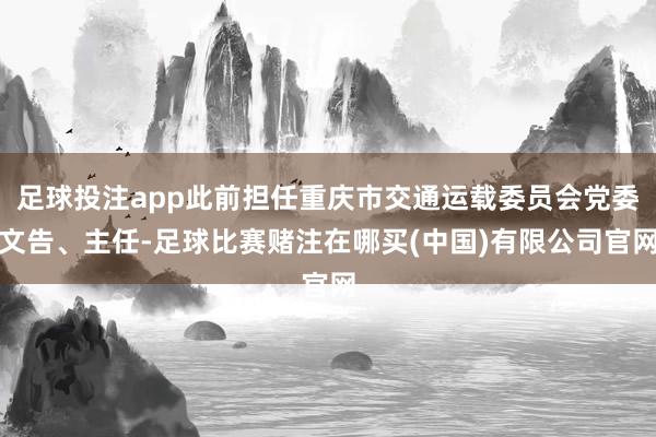 足球投注app此前担任重庆市交通运载委员会党委文告、主任-足球比赛赌注在哪买(中国)有限公司官网