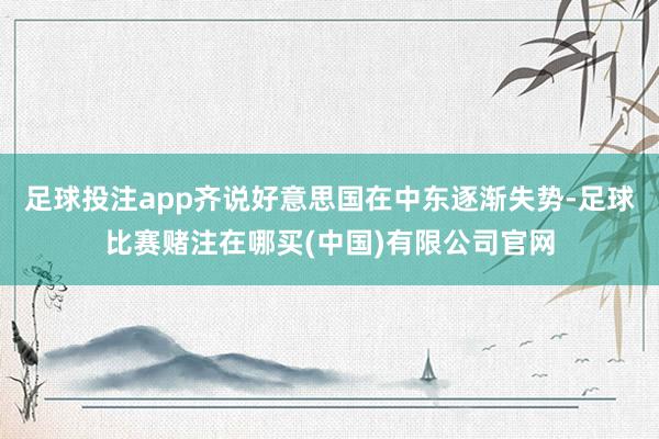 足球投注app齐说好意思国在中东逐渐失势-足球比赛赌注在哪买(中国)有限公司官网