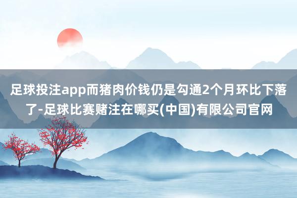 足球投注app而猪肉价钱仍是勾通2个月环比下落了-足球比赛赌注在哪买(中国)有限公司官网