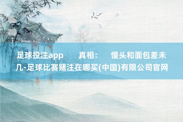 足球投注app       真相：    馒头和面包差未几-足球比赛赌注在哪买(中国)有限公司官网