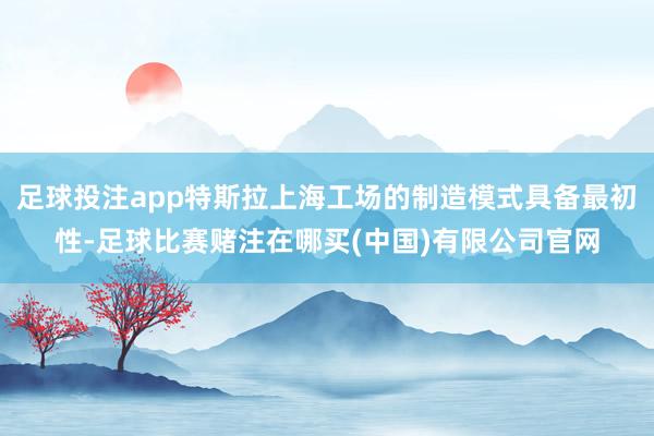 足球投注app特斯拉上海工场的制造模式具备最初性-足球比赛赌注在哪买(中国)有限公司官网