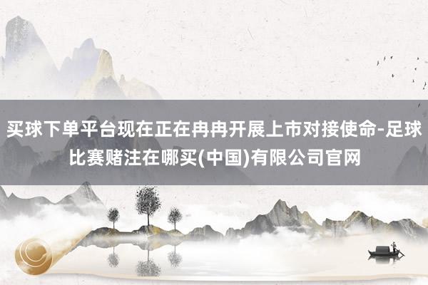 买球下单平台现在正在冉冉开展上市对接使命-足球比赛赌注在哪买(中国)有限公司官网