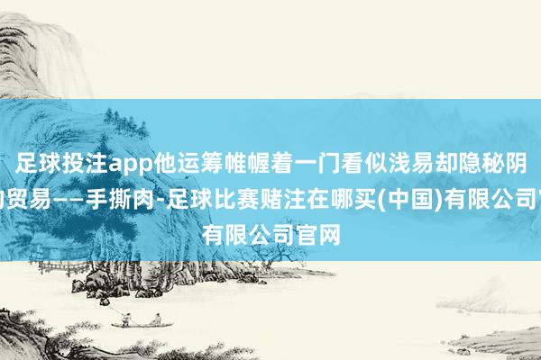 足球投注app他运筹帷幄着一门看似浅易却隐秘阴私的贸易——手撕肉-足球比赛赌注在哪买(中国)有限公司官网