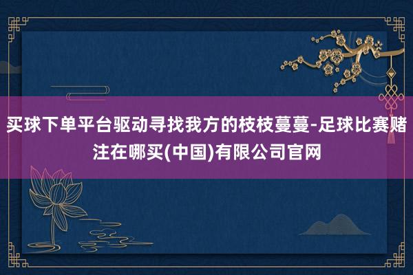买球下单平台驱动寻找我方的枝枝蔓蔓-足球比赛赌注在哪买(中国)有限公司官网