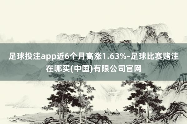 足球投注app近6个月高涨1.63%-足球比赛赌注在哪买(中国)有限公司官网