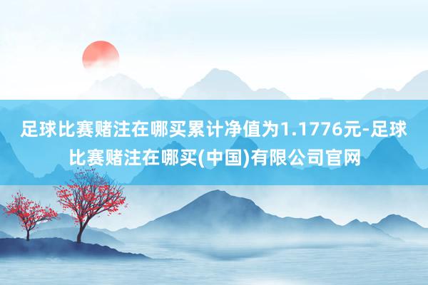 足球比赛赌注在哪买累计净值为1.1776元-足球比赛赌注在哪买(中国)有限公司官网