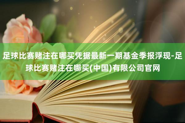 足球比赛赌注在哪买凭据最新一期基金季报浮现-足球比赛赌注在哪买(中国)有限公司官网