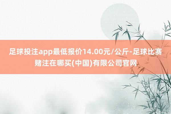 足球投注app最低报价14.00元/公斤-足球比赛赌注在哪买(中国)有限公司官网