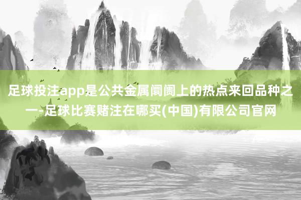足球投注app是公共金属阛阓上的热点来回品种之一-足球比赛赌注在哪买(中国)有限公司官网