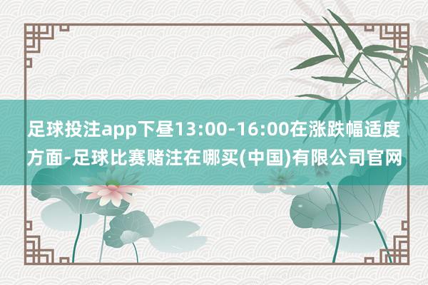 足球投注app下昼13:00-16:00在涨跌幅适度方面-足球比赛赌注在哪买(中国)有限公司官网