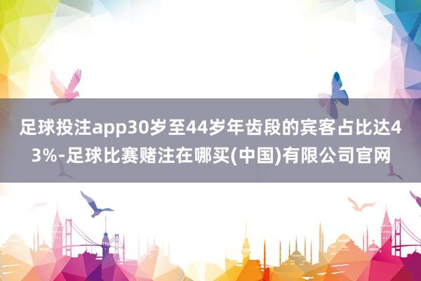 足球投注app30岁至44岁年齿段的宾客占比达43%-足球比赛赌注在哪买(中国)有限公司官网