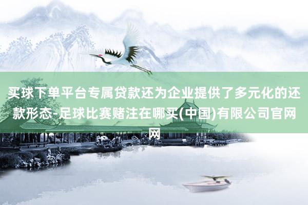 买球下单平台专属贷款还为企业提供了多元化的还款形态-足球比赛赌注在哪买(中国)有限公司官网