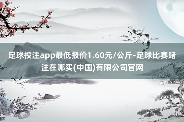 足球投注app最低报价1.60元/公斤-足球比赛赌注在哪买(中国)有限公司官网