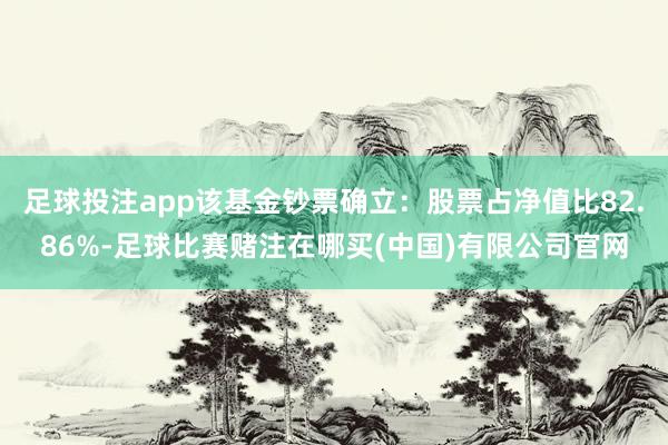 足球投注app该基金钞票确立：股票占净值比82.86%-足球比赛赌注在哪买(中国)有限公司官网
