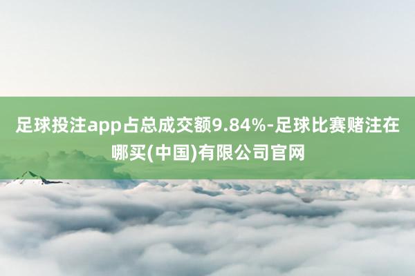 足球投注app占总成交额9.84%-足球比赛赌注在哪买(中国)有限公司官网