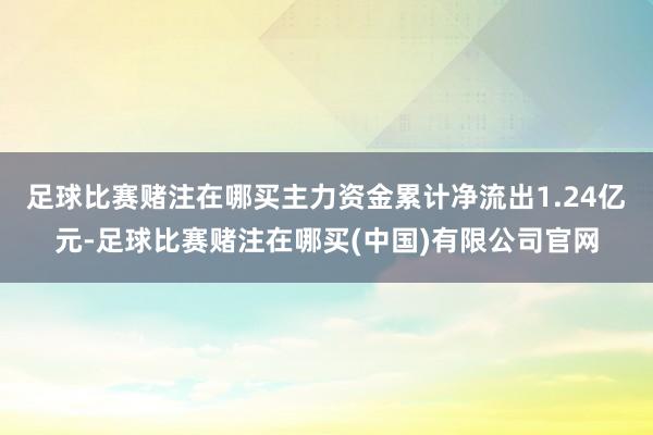 足球比赛赌注在哪买主力资金累计净流出1.24亿元-足球比赛赌注在哪买(中国)有限公司官网