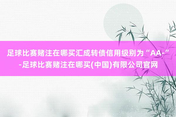 足球比赛赌注在哪买汇成转债信用级别为“AA-”-足球比赛赌注在哪买(中国)有限公司官网