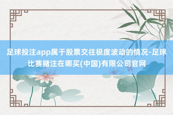 足球投注app属于股票交往极度波动的情况-足球比赛赌注在哪买(中国)有限公司官网