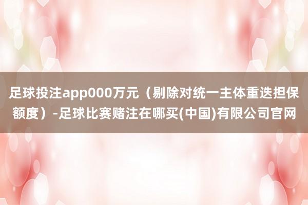足球投注app000万元（剔除对统一主体重迭担保额度）-足球比赛赌注在哪买(中国)有限公司官网