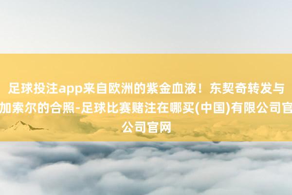 足球投注app来自欧洲的紫金血液！东契奇转发与大加索尔的合照-足球比赛赌注在哪买(中国)有限公司官网